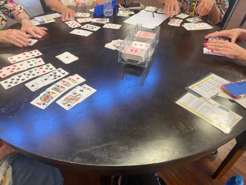 Gallery game day 022026